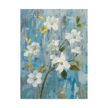 Danhui Nai 'Graceful Magnolia I Crop' Canvas Art,14x19